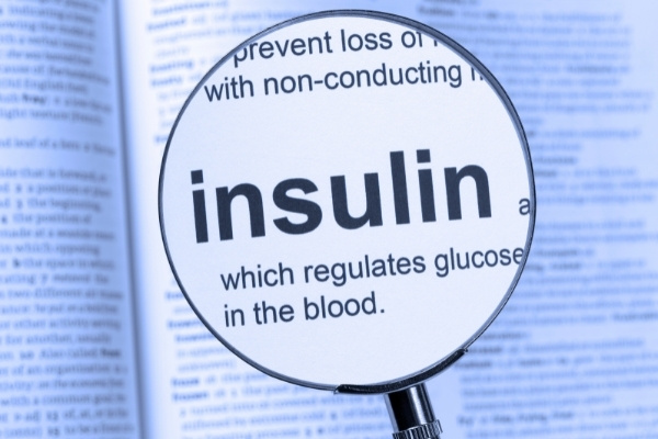 inzulin
