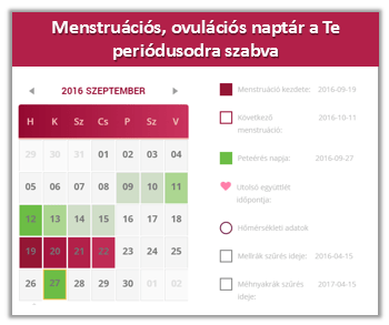 Menstruációs naptár - Intima.hu