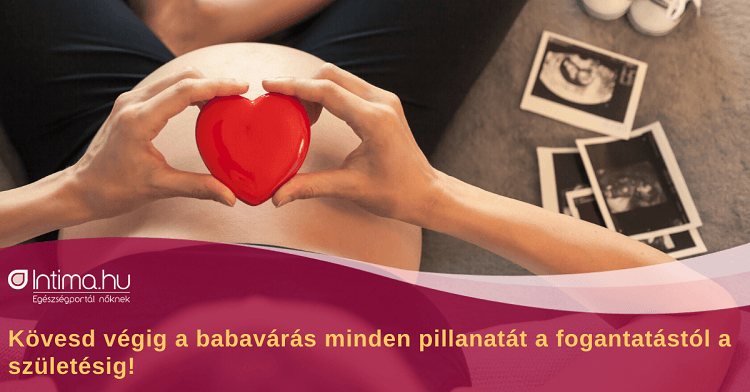 Terhesség hétről hétre - Intima.hu