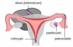 Méhen kívüli terhesség jelei, tünetei