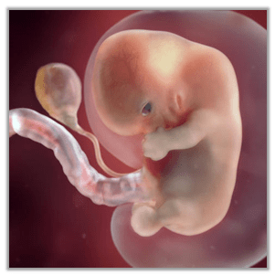Vérzés terhesség | vérzések az első harmadban | lepényleválás